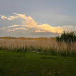 Family Near Lake, And Dunes