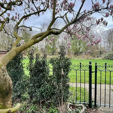 Semesterbostad Family Near Lake, And Dunes *