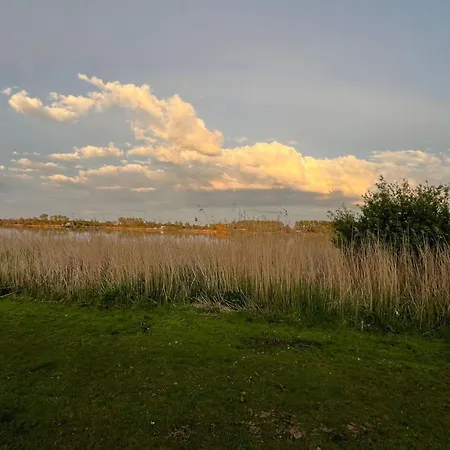 Family Near Lake, And Dunes
