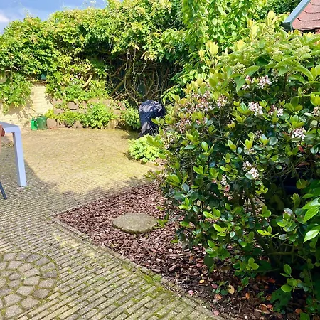 Family Near Lake, And Dunes Ferienhaus *