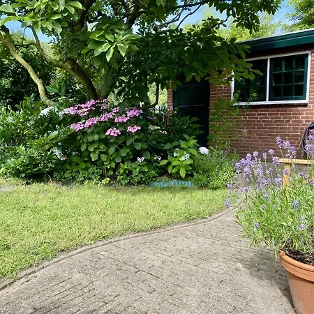 Family Near Lake, And Dunes ノールトウェイケルハウト　