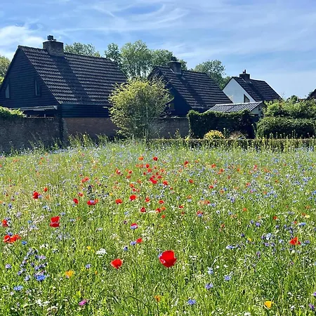 Family Near Lake, And Dunes