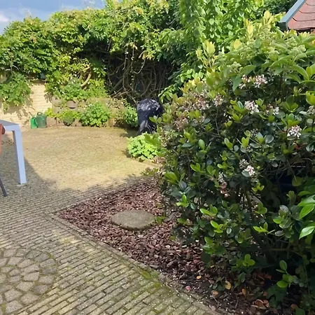 Family Near Lake, And Dunes