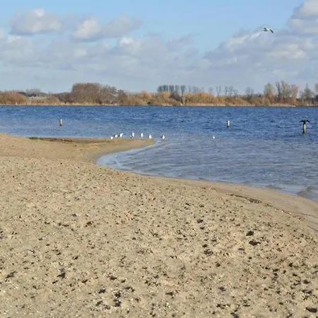 Family Near Lake, And Dunes Noordwijkerhout