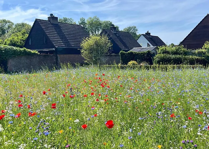 Family Near Lake, And Dunes