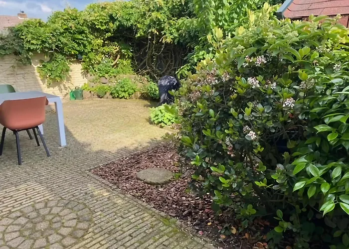 Family Near Lake, And Dunes