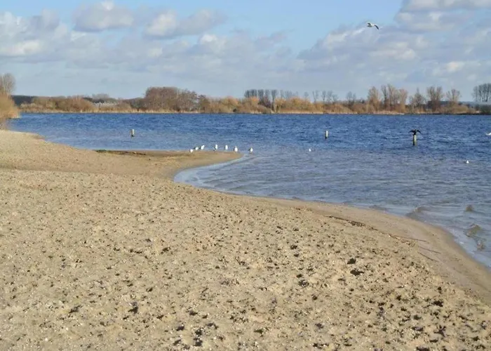 Family Near Lake, And Dunes Noordwijkerhout