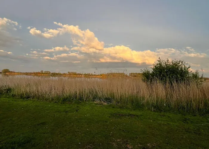 Family Near Lake, And Dunes