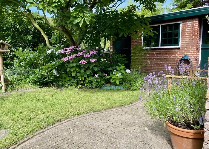 Family Near Lake, And Dunes Noordwijkerhout
